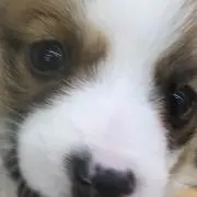 れな