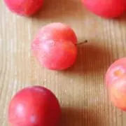 すももこの画像