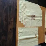 竹中反米の画像