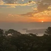 Kaiyoの画像