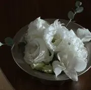 歩志の画像