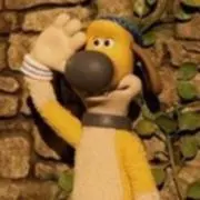 com