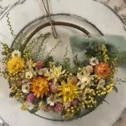 morikyoの画像