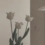 あいの画像