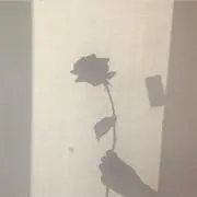 Roseの画像