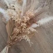 ぱるるの画像