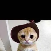 モモ