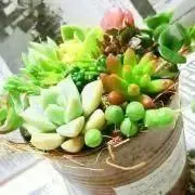 評価必須！お忘れなく！の画像