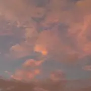 じゃ丸。お纏め買い歓迎！即日発送中