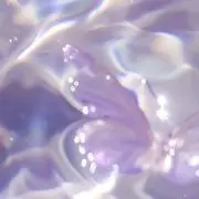 Kaaプロフ必読の画像
