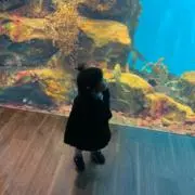 どどちの画像