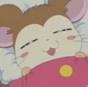 すがちゃんの画像