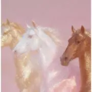 Kfの画像