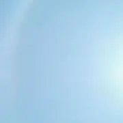うさみゆ