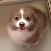 花華-KAKA- ワンコはのん