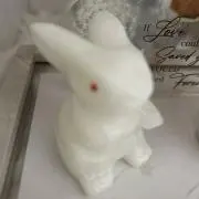 Image of セルシーPEACE