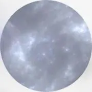 .の画像