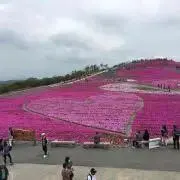 3mamの画像