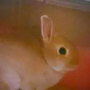 kinたん※必ずプロフ必読※