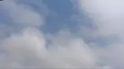 あおぞーらの画像