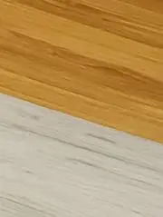 バンの画像