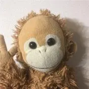 bruno＊の画像