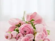 momo即購入OK！の画像