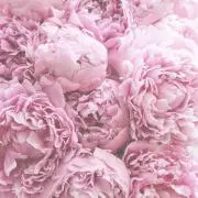 sora☆彡の画像