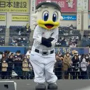 ミナミ@発送3.4日いただきますの画像