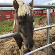N☆farm-yusa