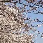 KRA 割引はプロフへの画像