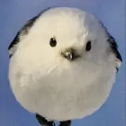 ななの画像