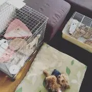 m.の画像