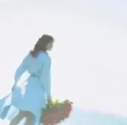 きゃんの画像