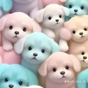 ももたろう