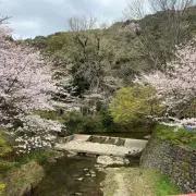 おにぎりの画像