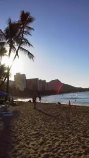 トムの画像
