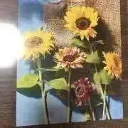 J☆即購入OKの画像