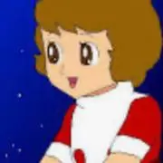 サリーの画像