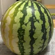 user_821d7621の画像