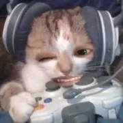りんかの画像