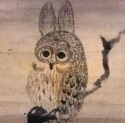 サシの画像