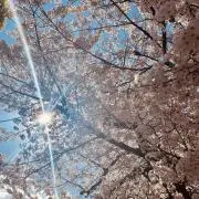 ☆リー☆の画像