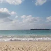Mの画像