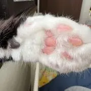 すんなな