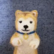 しばわんの画像