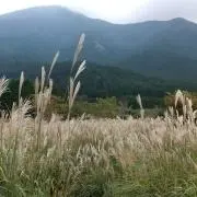 なあ