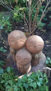 ちゃんだいの画像