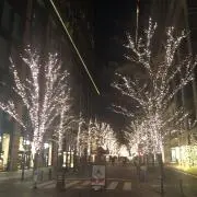 すの画像