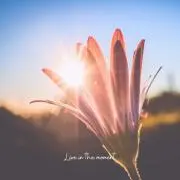 junの画像